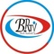 bichi radio and tv brtv logo