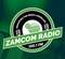 zamcom 100 1 fm logo