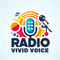 logo radio vivid voice logo