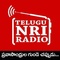 telugu nri radio logo