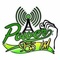 power fm belize 95 5 logo