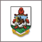 bermuda government emergency broadcast station logo