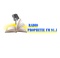 radio prophetie fm 91 1 logo