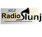 radio slunj 95 2 logo