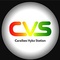 logo caraibes vybz station logo