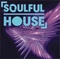 logo vip radio fm soulful house logo