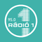 radio fm 95 Logo