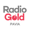 radio gold pavia 2 logo