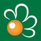 radio margherita logo