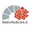 radio radicale logo