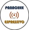 logo panachee logo