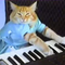 logo keyboard cat logo