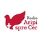 radio aripi spre cer international logotyp