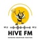 97 2 hive fm logo