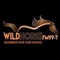 4who wild horse logo