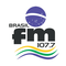 logo brasil fm logo