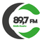 logo radio guaira logo
