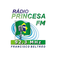 logo radio princesa 4 logo