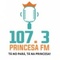 logo radio princesa fm 3 logo
