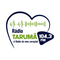 logo radio taruma fm logo