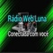 logo radio web luna logo