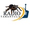 logoja radio tarantula digital logoja